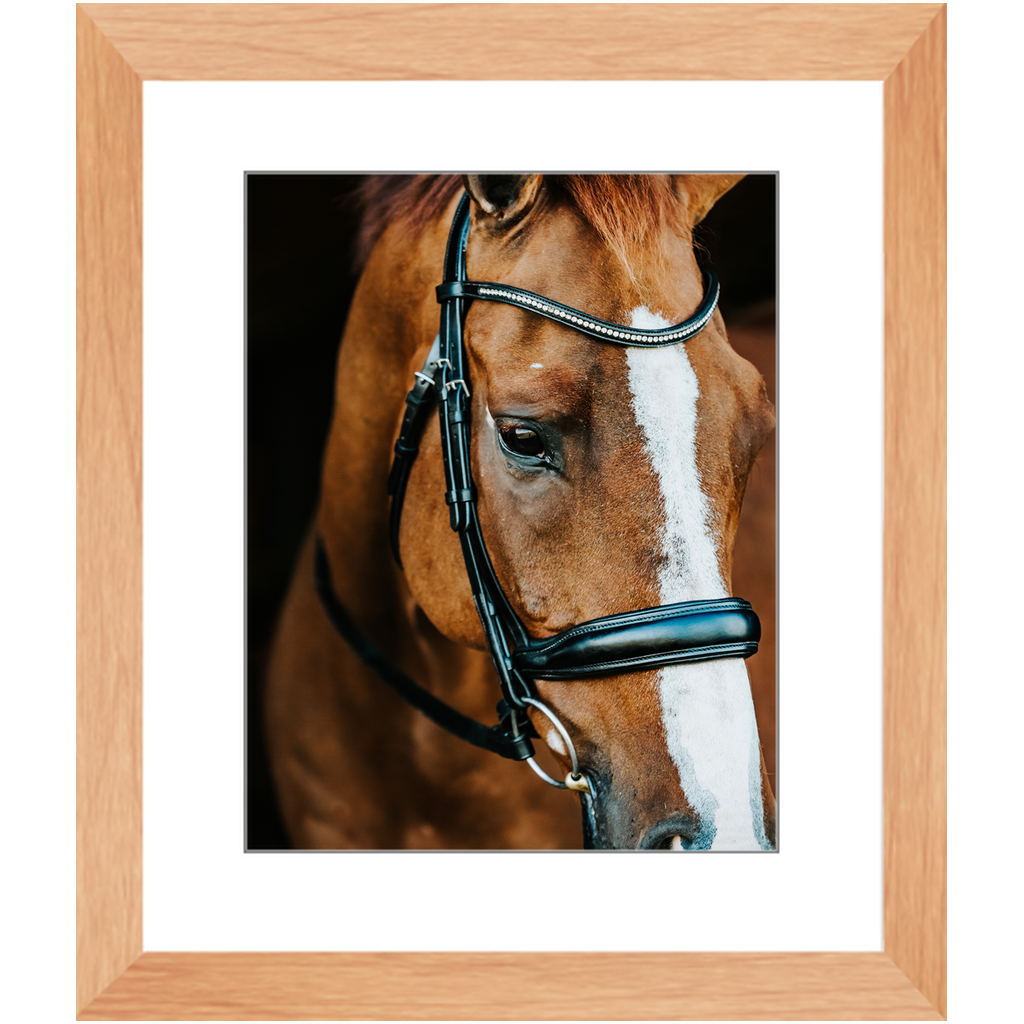 Hudson Series 3, Framed Print