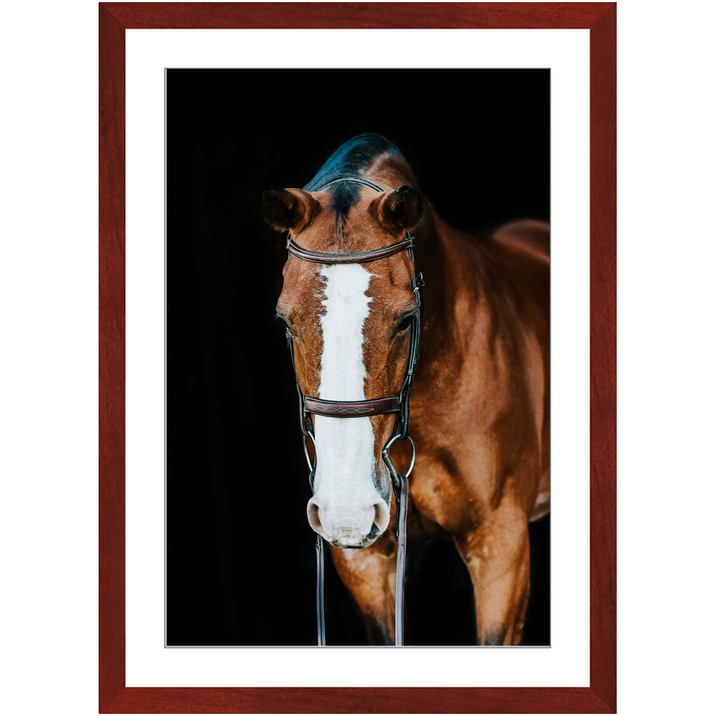 Huntsman Series 6, Framed Print
