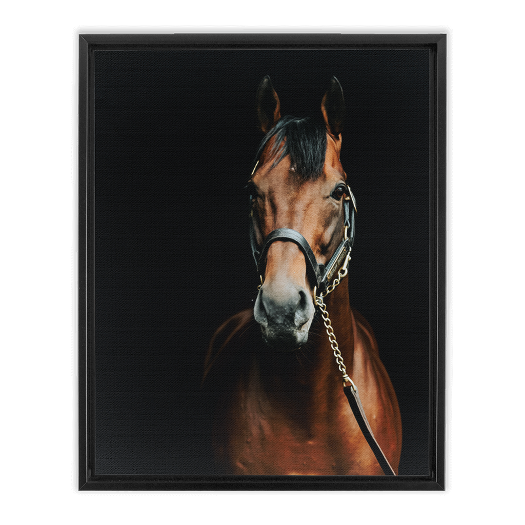 American Pharoah Series 4, Framed Canvas