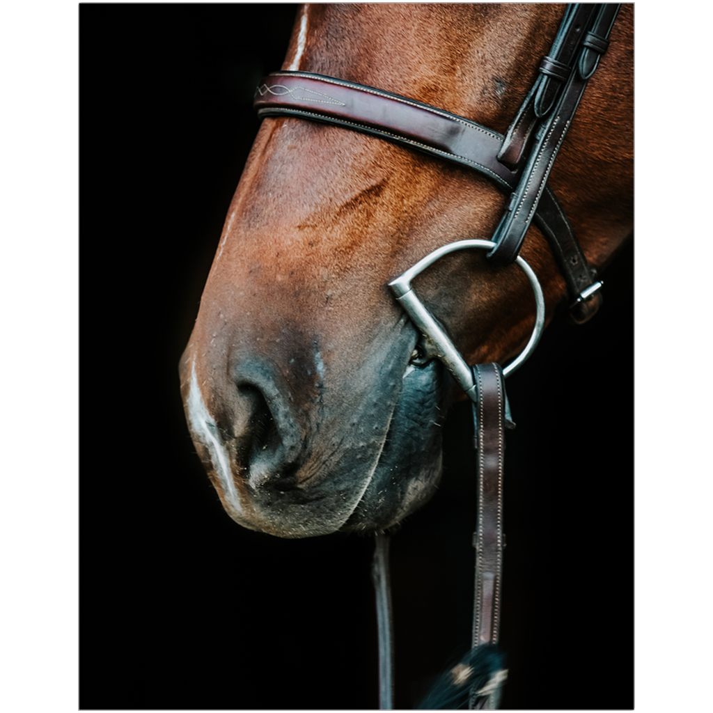 Monterey Series 5, Print