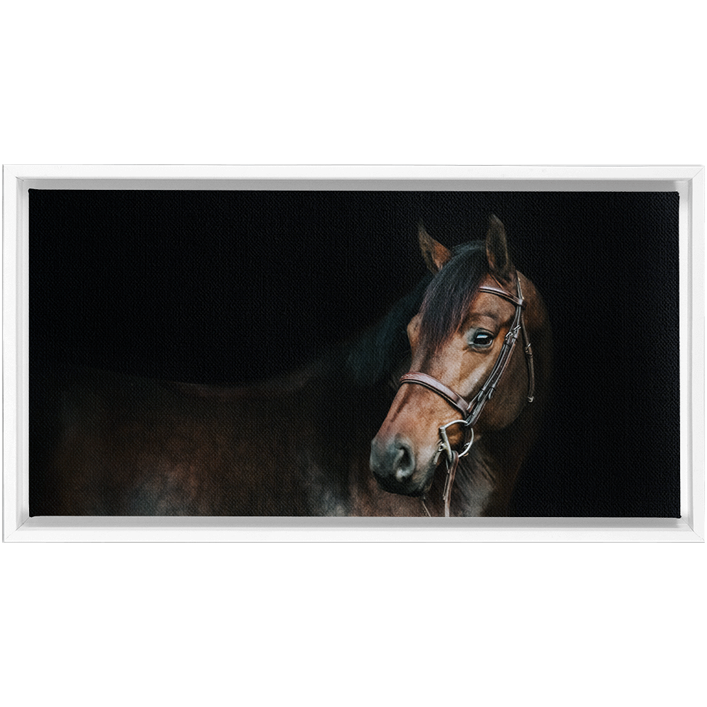 Jovial Series 2, Framed Canvas