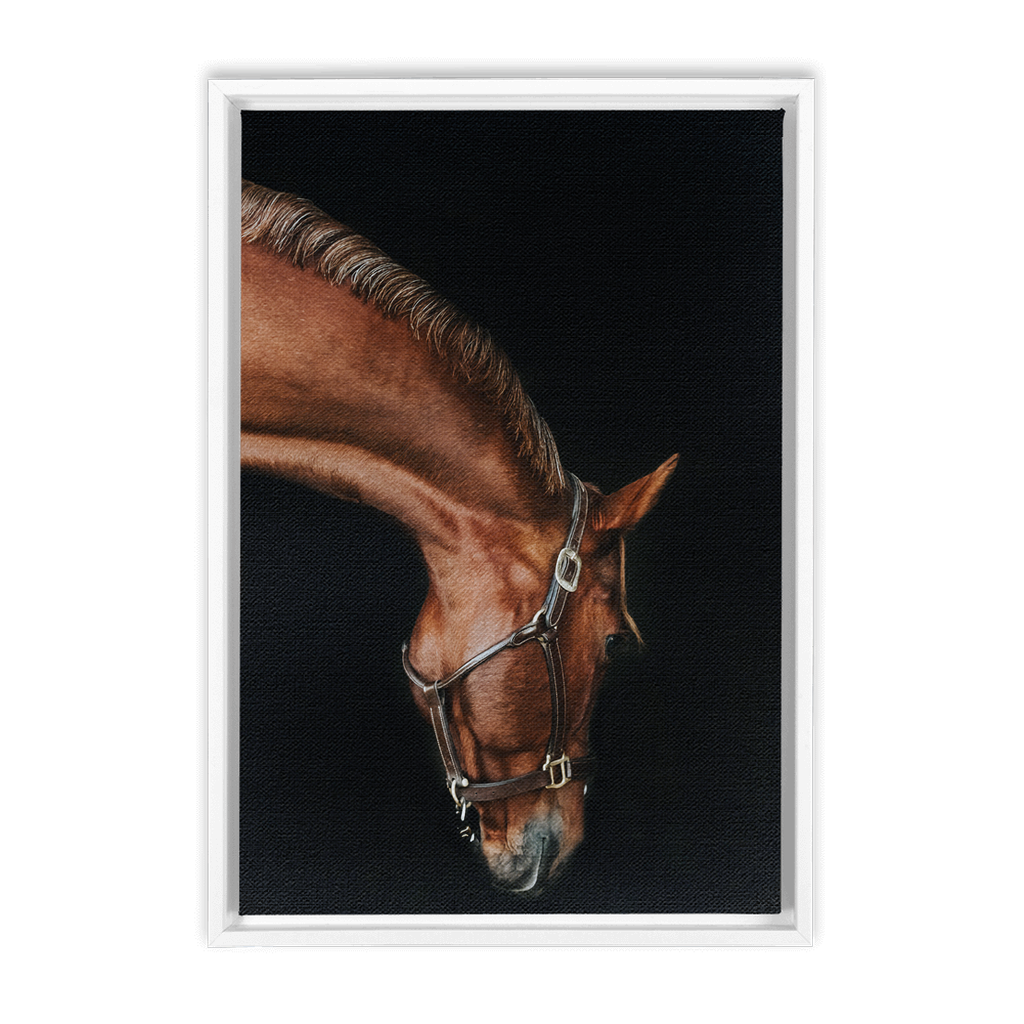 Django Series 6, Framed Canvas