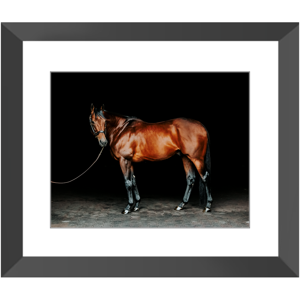 American Pharoah Series 1, Framed Print