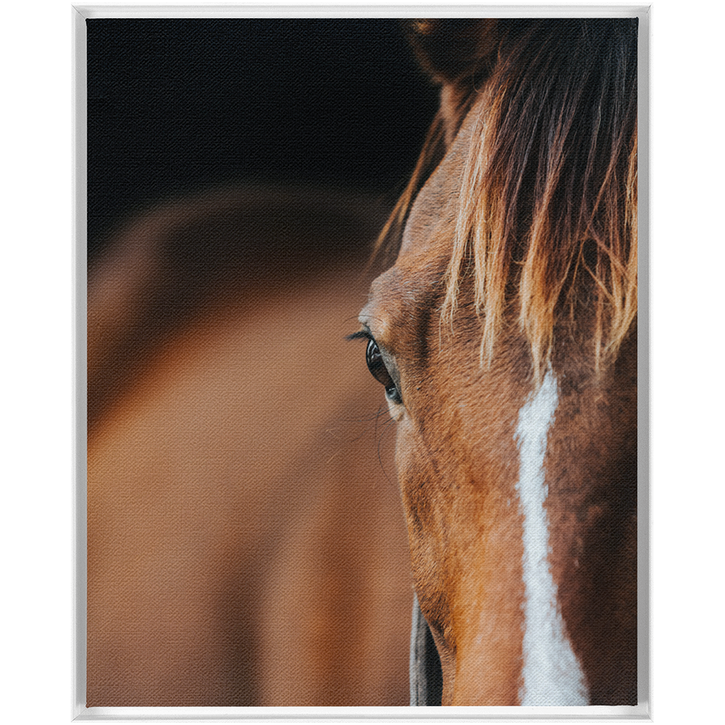 Majestic 1, Framed Canvas