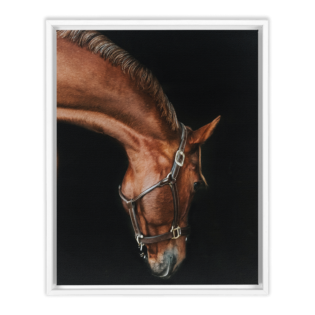 Django Series 6, Framed Canvas