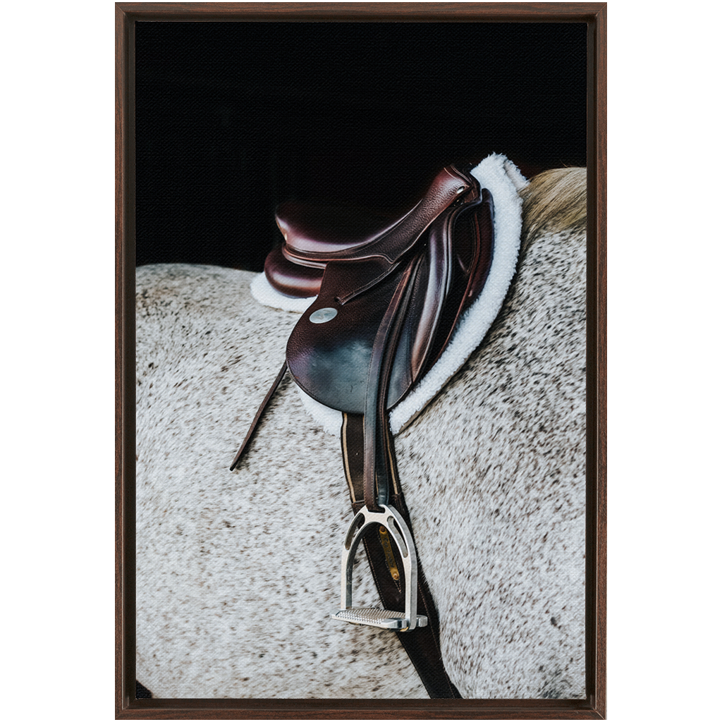 Apollo Series 3, Framed Canvas