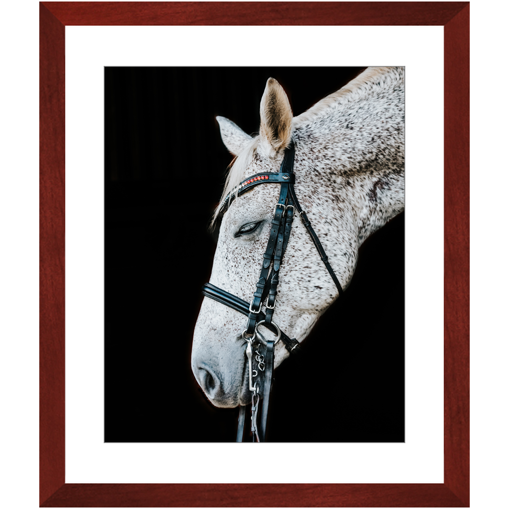 Apollo Series 1, Framed Print