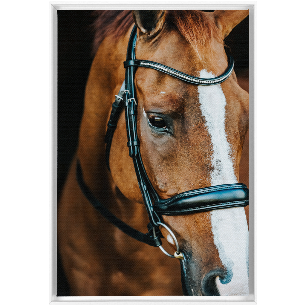 Hudson Series 3, Framed Canvas