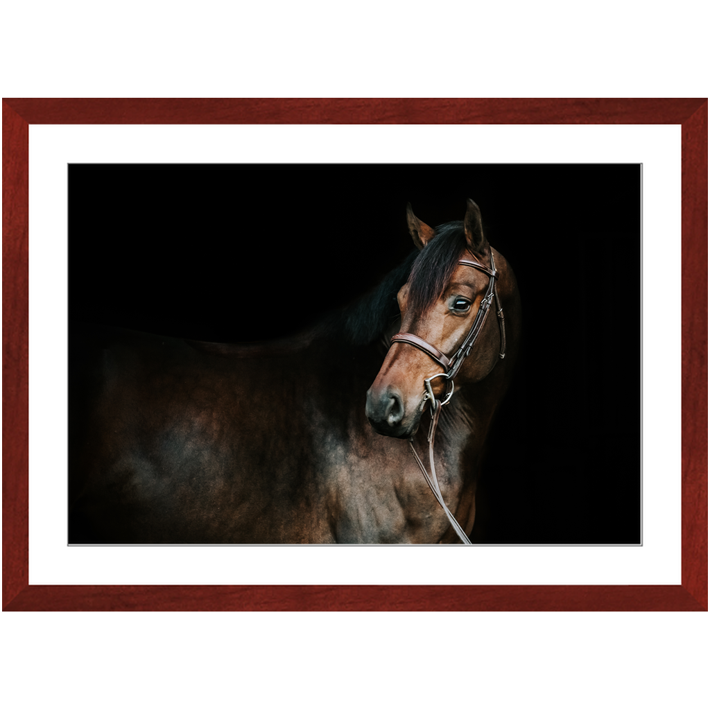 Jovial Series 2, Framed Print