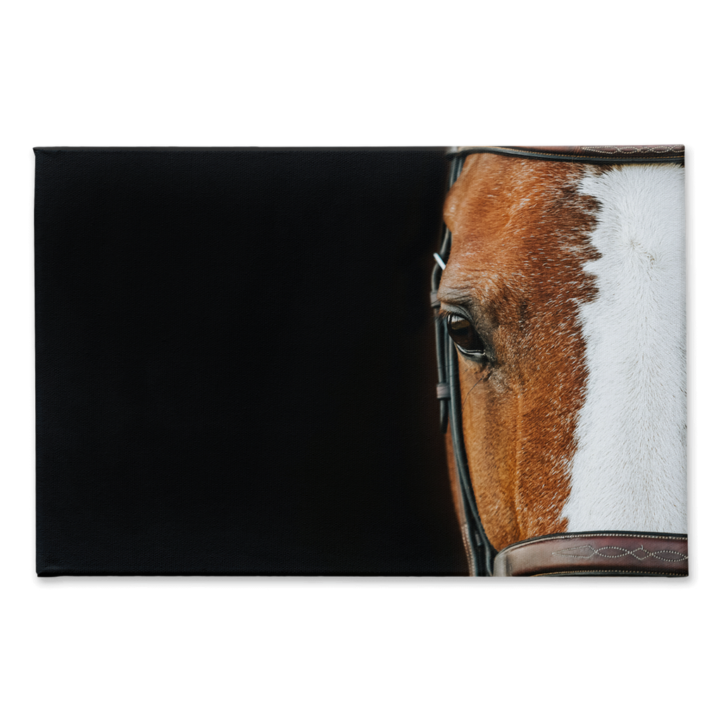 Huntsman Series 5, Stretched Canvas
