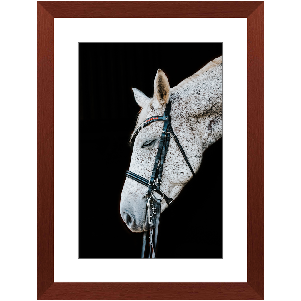 Apollo Series 1, Framed Print