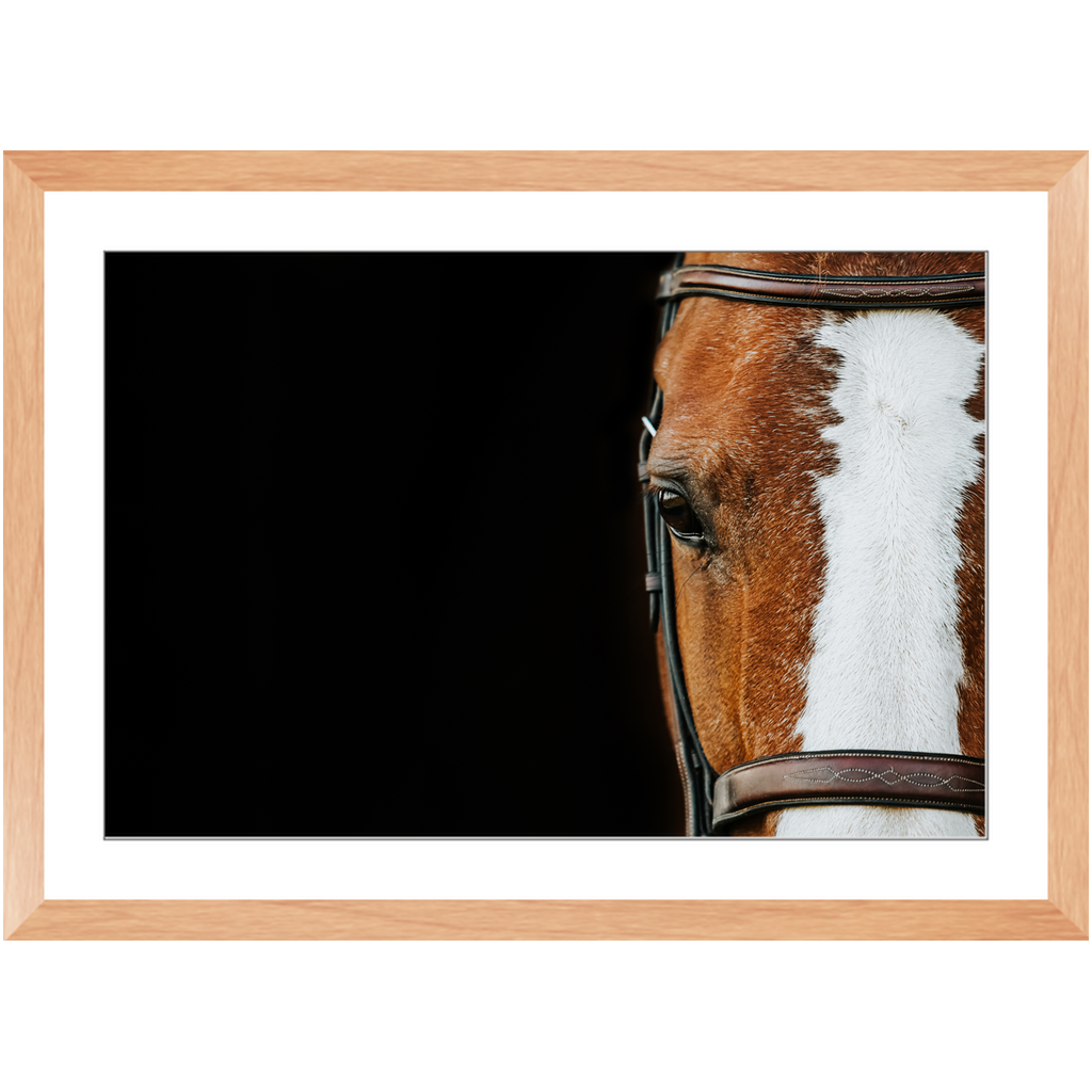 Huntsman Series 5, Framed Print