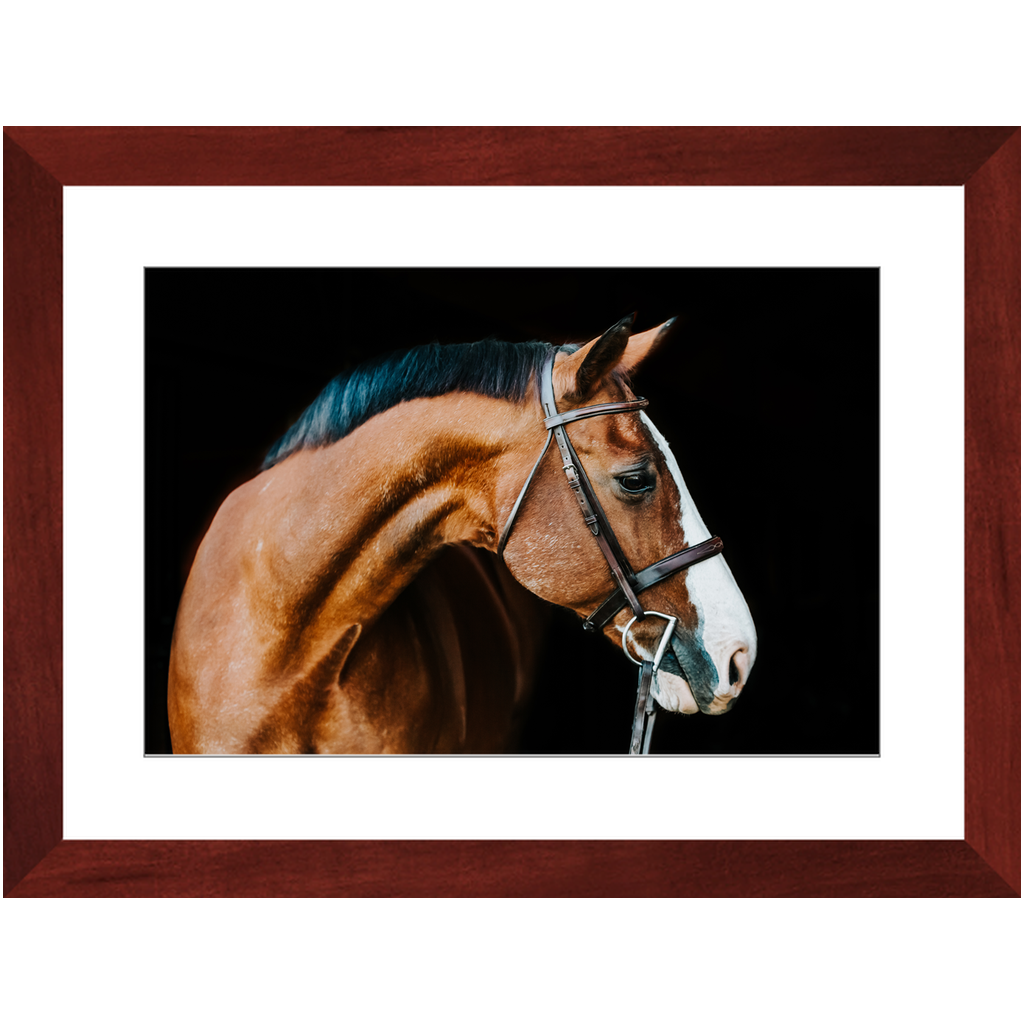 Huntsman Series 3, Framed Print
