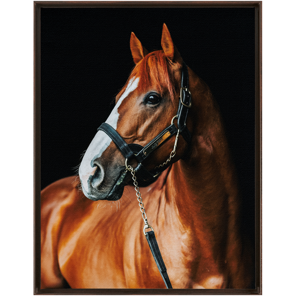 Justify Series 1, Framed Canvas