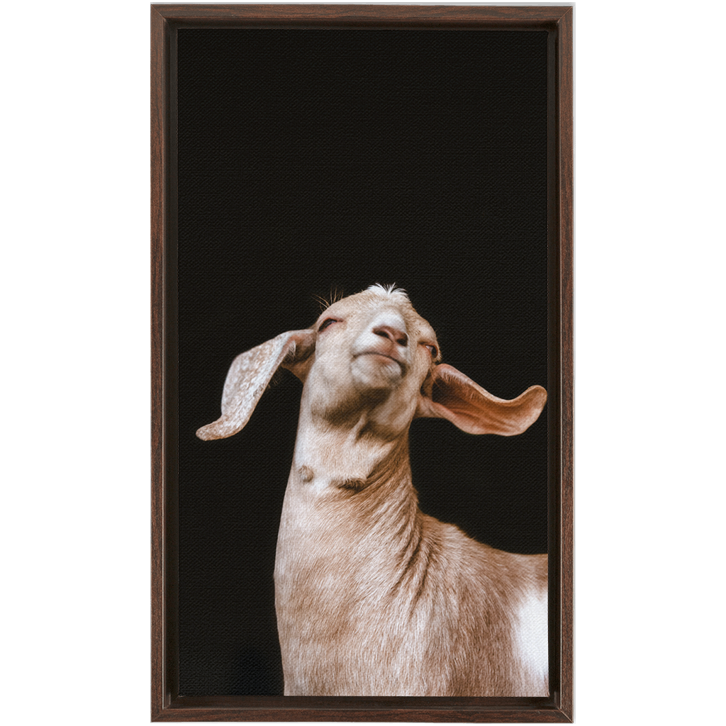 Happy Goat Series 1, Framed Canvas
