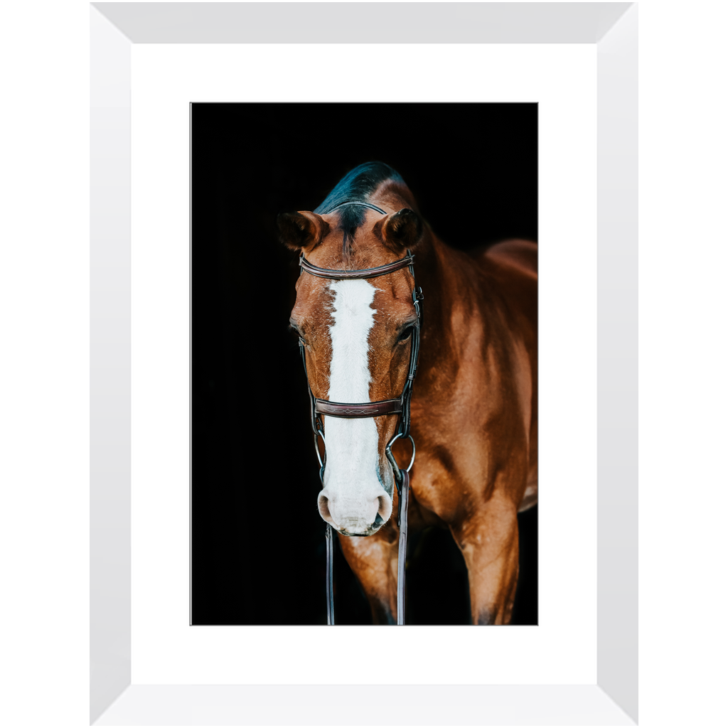 Huntsman Series 6, Framed Print