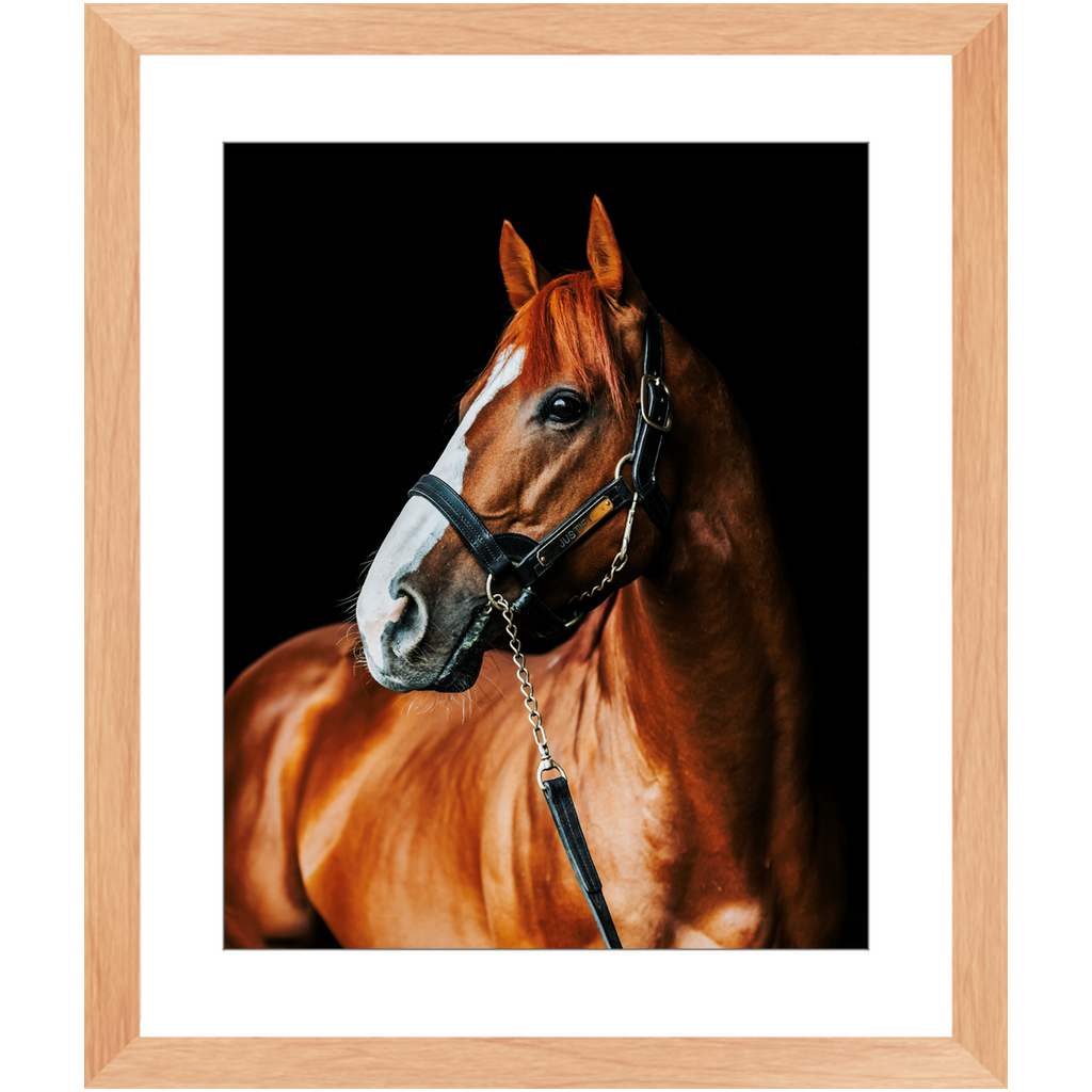 Justify Series 1, Framed Print
