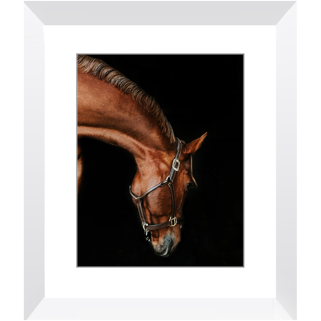Django Series 6, Framed Print