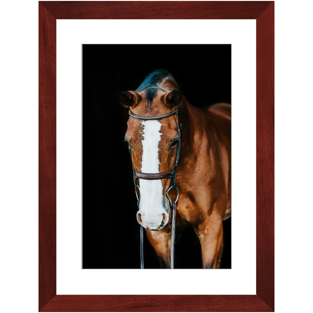 Huntsman Series 6, Framed Print