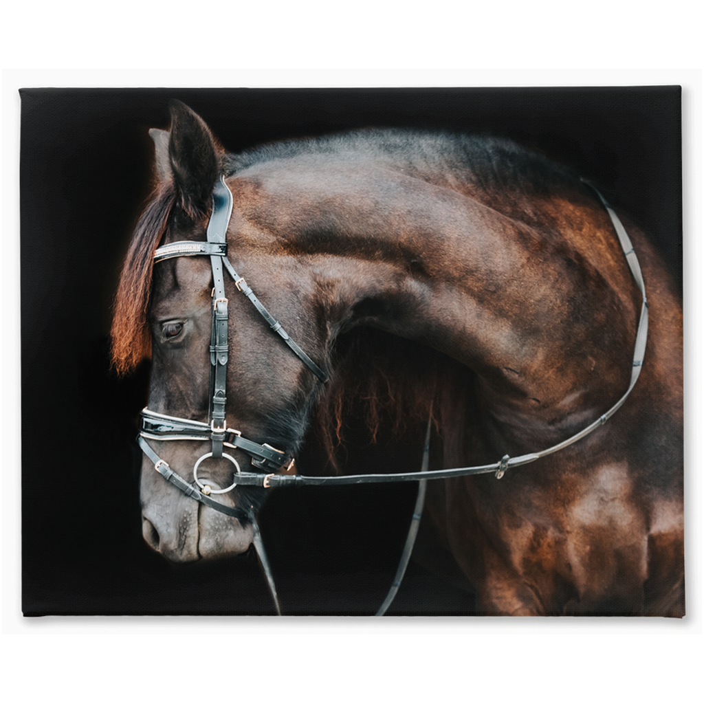 Regal Series 1, Stretched Canvas