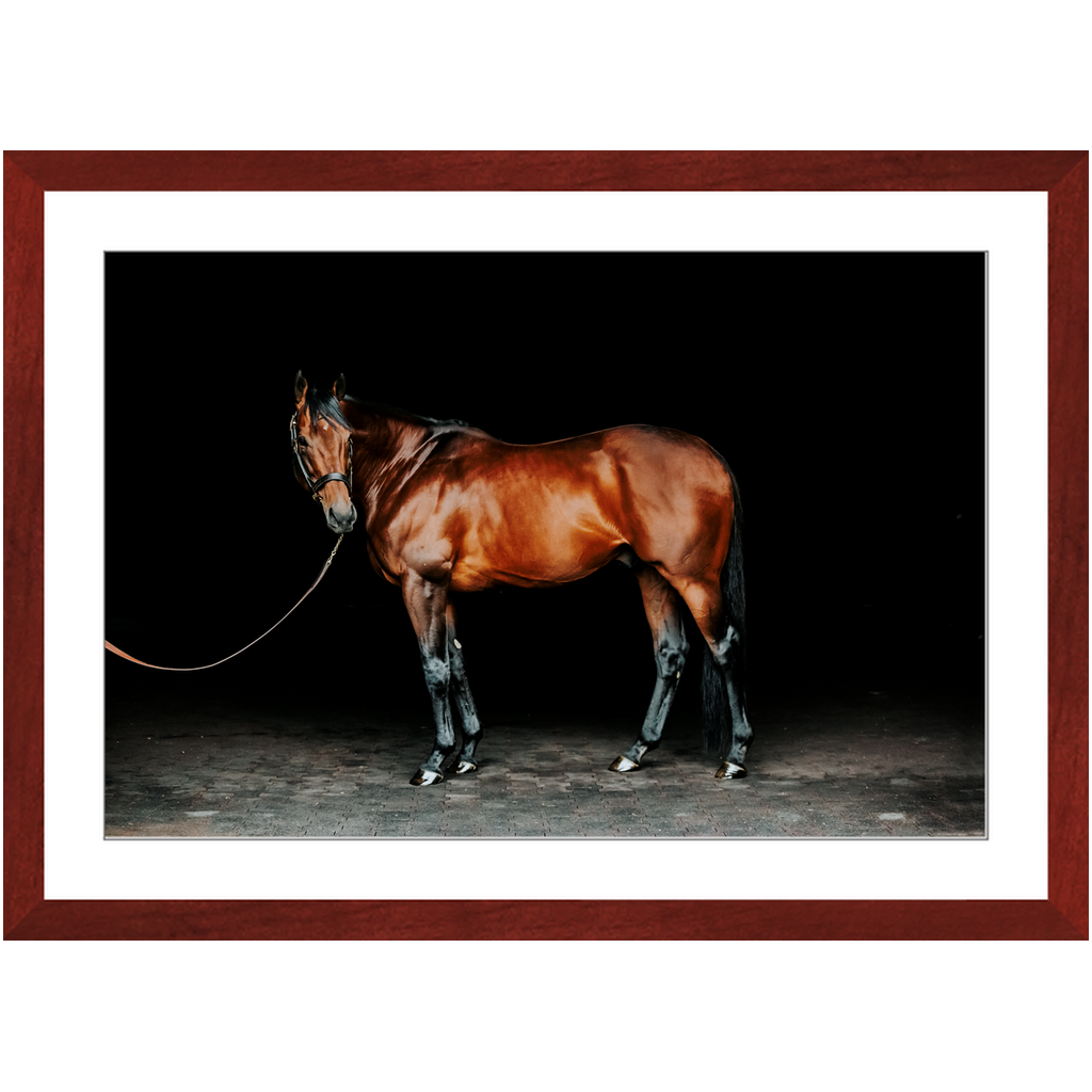 American Pharoah Series 1, Framed Print