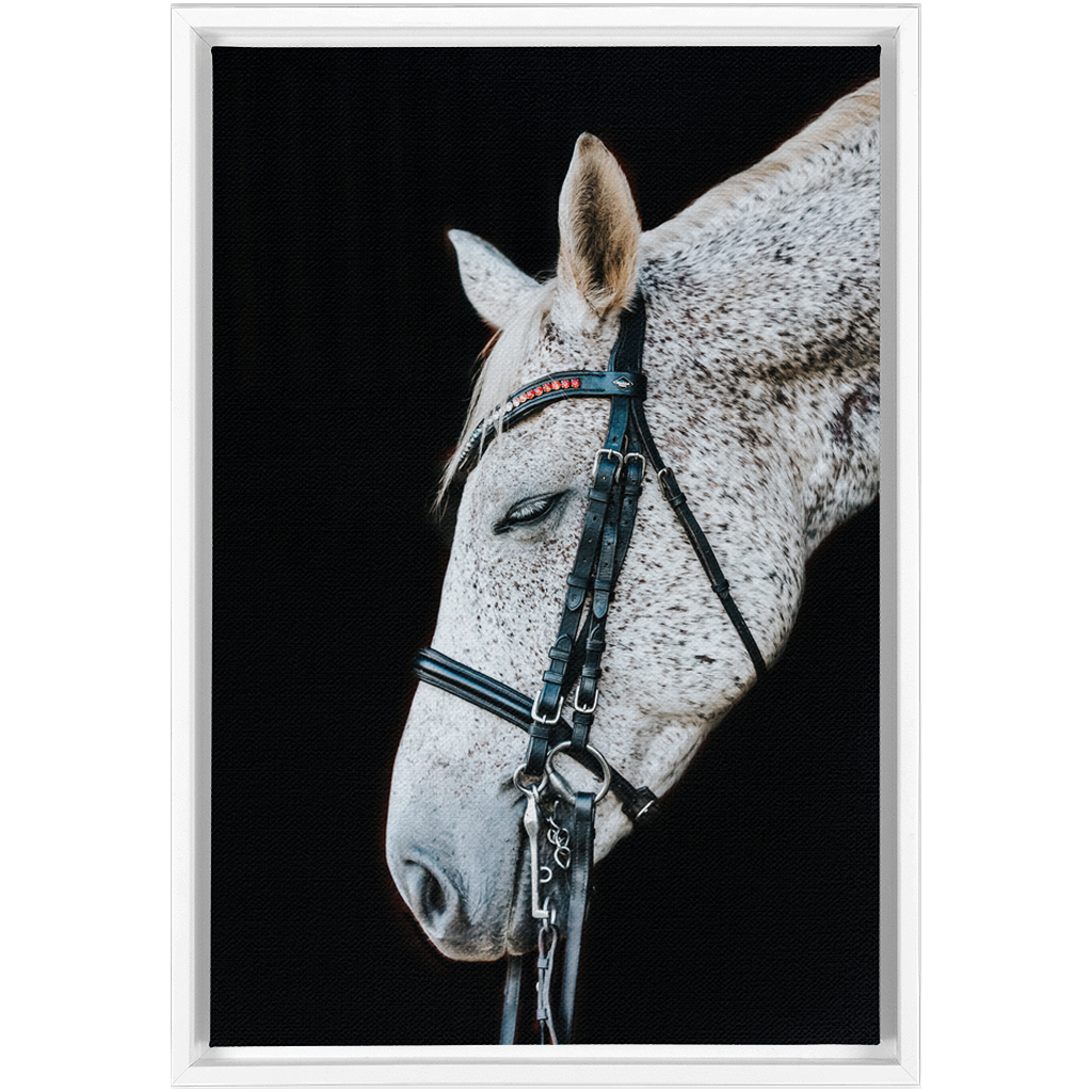Apollo Series 1, Framed Canvas