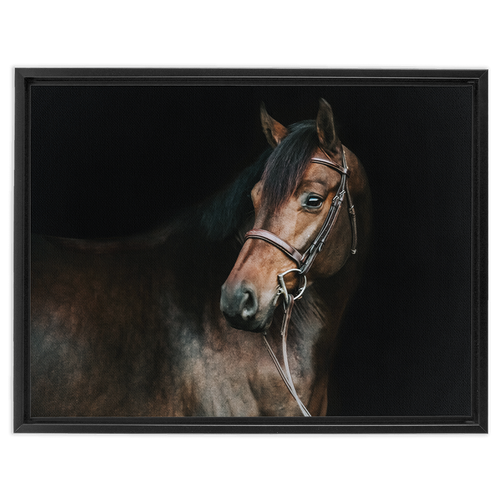 Jovial Series 2, Framed Canvas