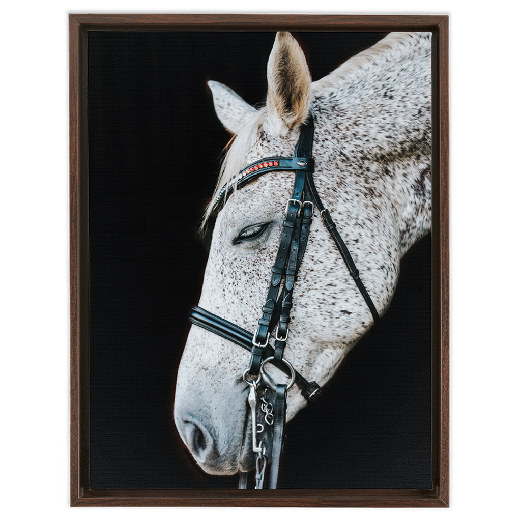 Apollo Series 1, Framed Canvas