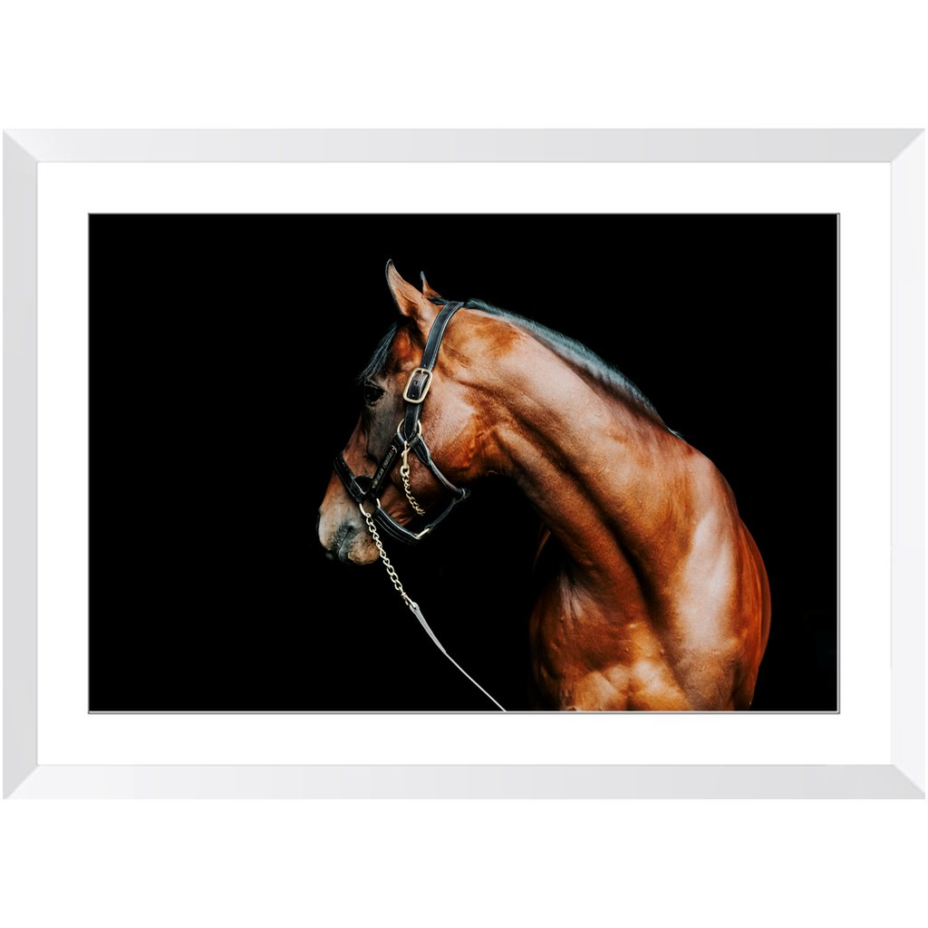 American Pharoah Series 5, Framed Print
