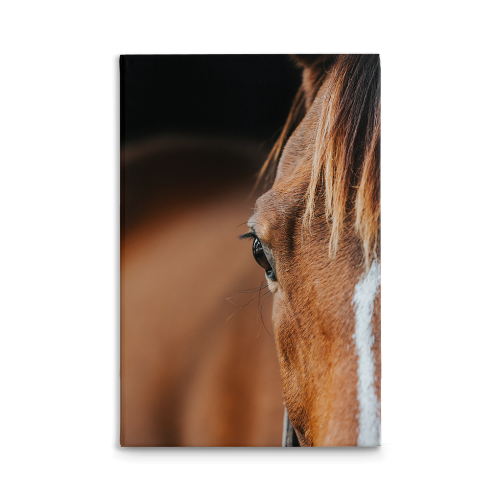 Majestic 1, Stretched Canvas