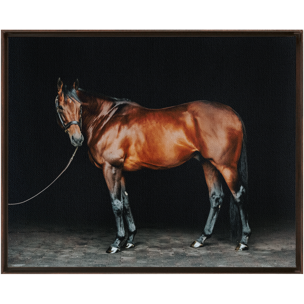American Pharoah Series 1, Framed Canvas