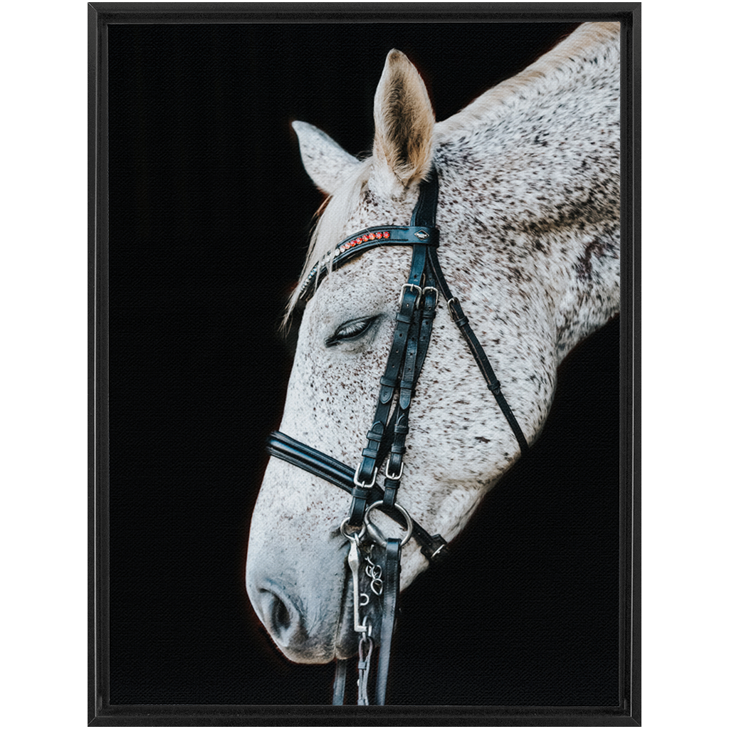 Apollo Series 1, Framed Canvas