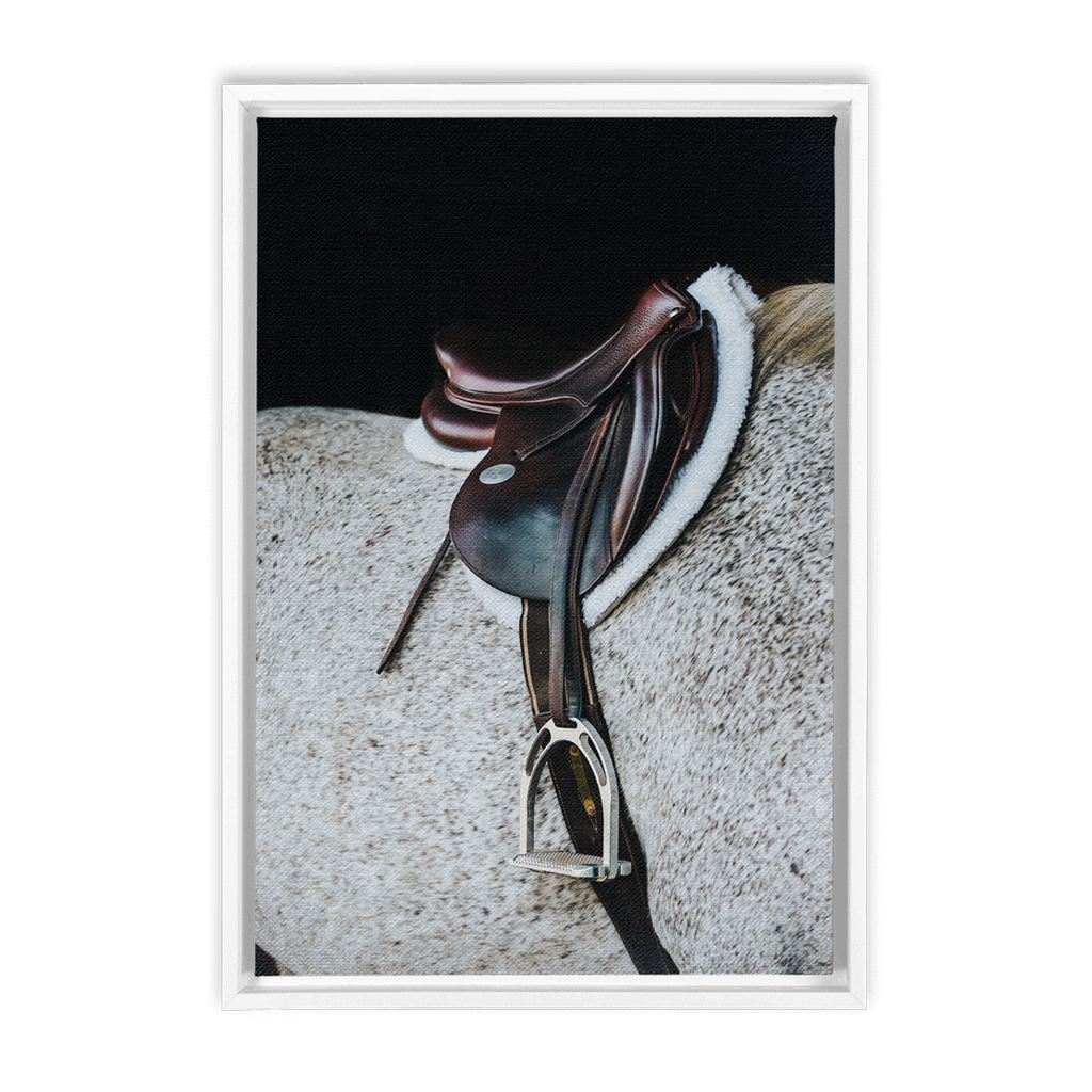 Apollo Series 3, Framed Canvas