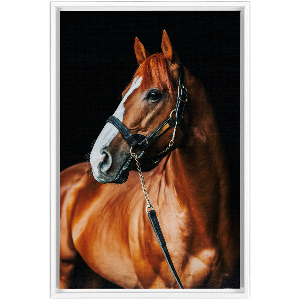 Justify Series 1, Framed Canvas