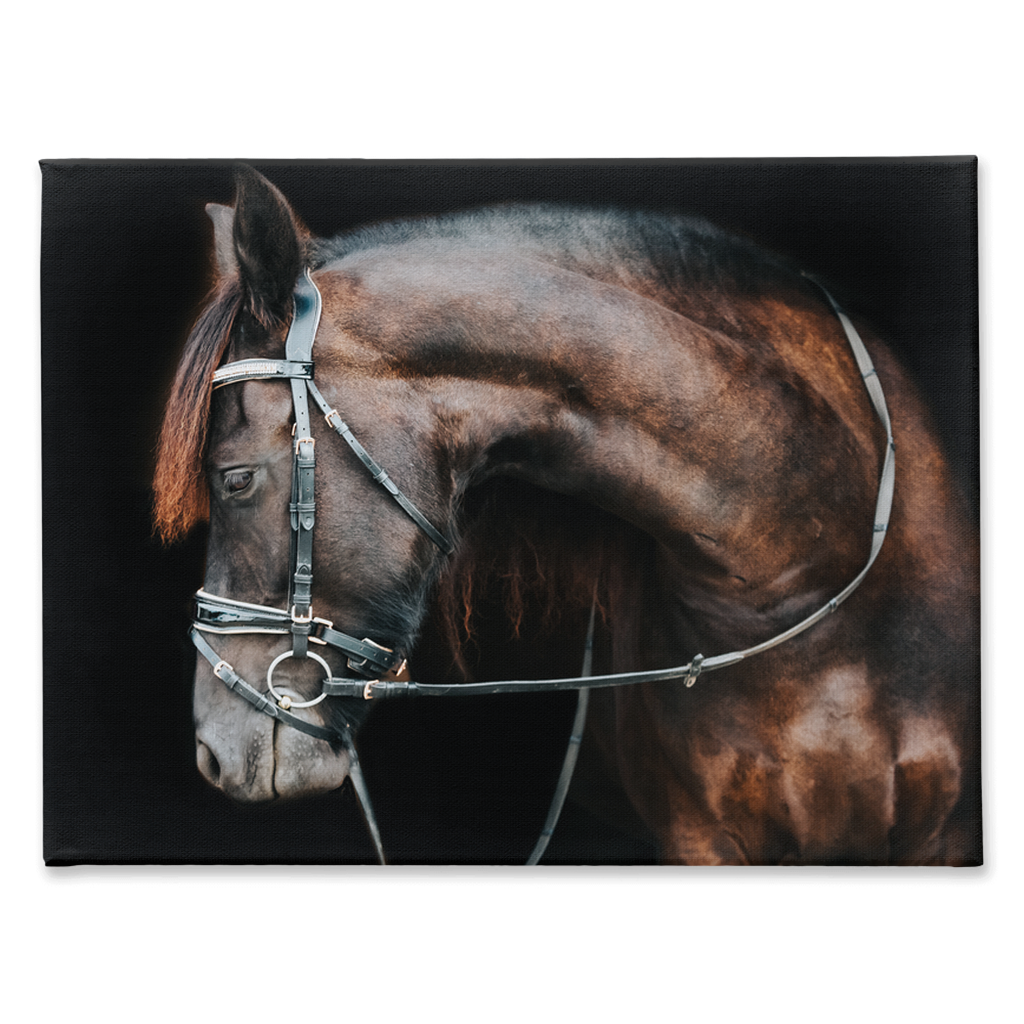Regal Series 1, Stretched Canvas