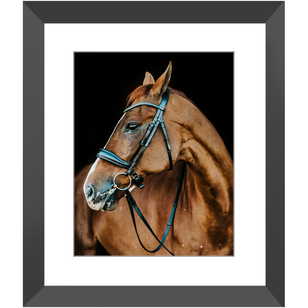 Hudson Series 6, Framed Print