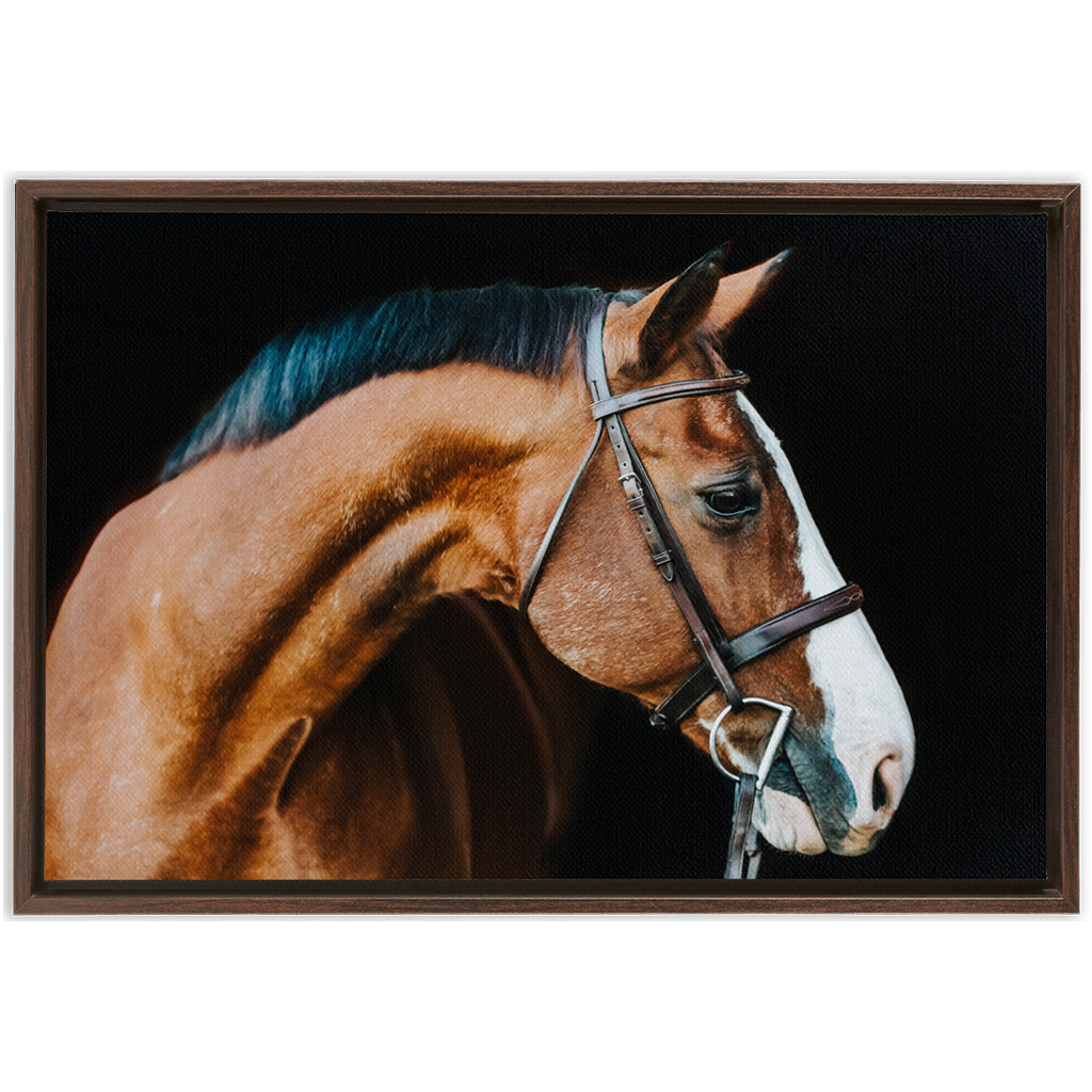 Huntsman Series 3, Framed Canvas