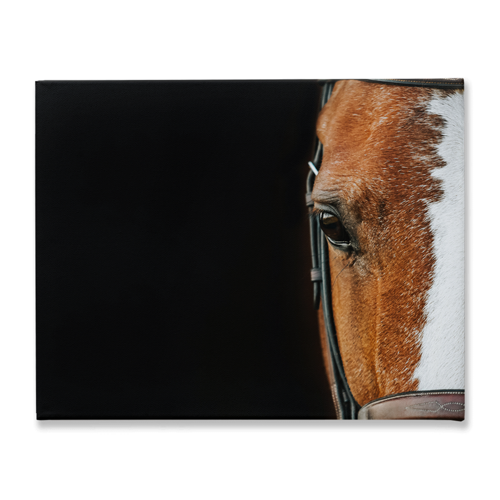 Huntsman Series 5, Stretched Canvas