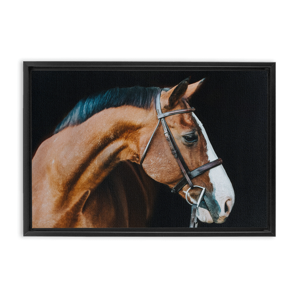 Huntsman Series 3, Framed Canvas