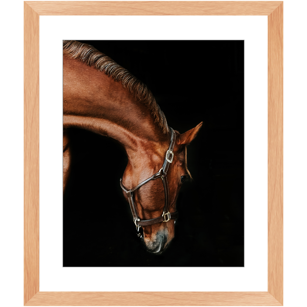 Django Series 6, Framed Print