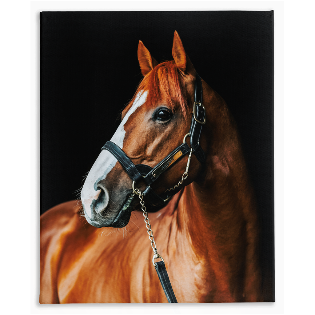 Justify Series 1, Stretched Canvas