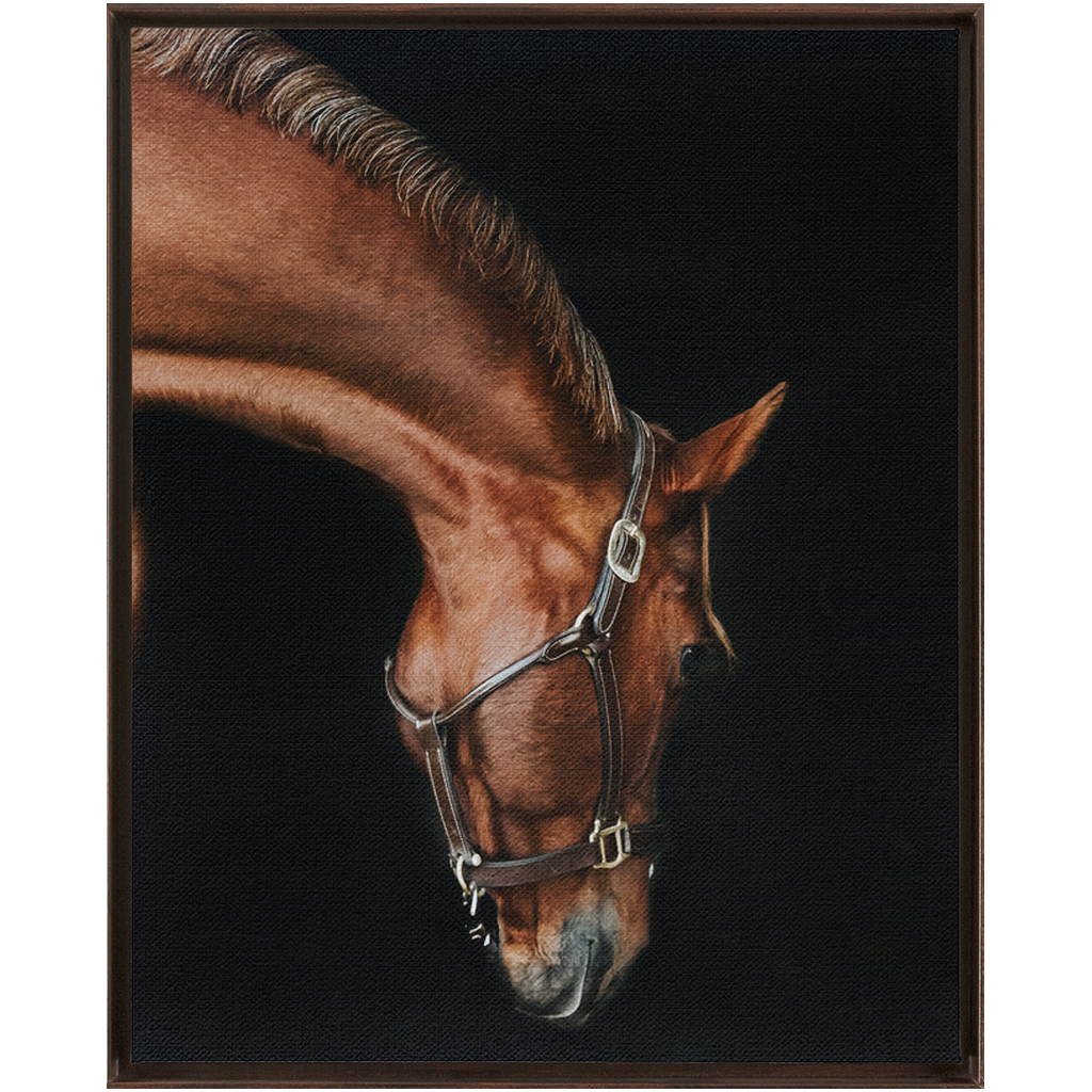 Django Series 6, Framed Canvas