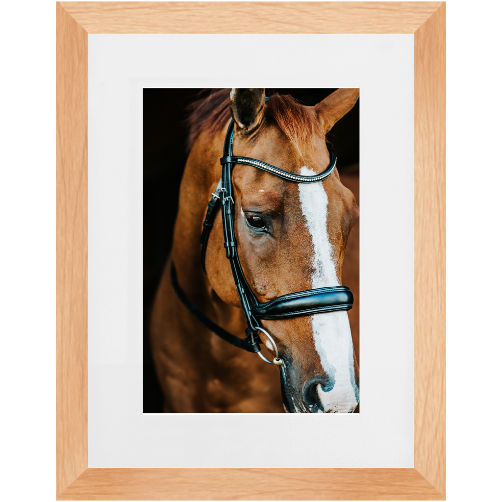 Hudson Series 3, Framed Print