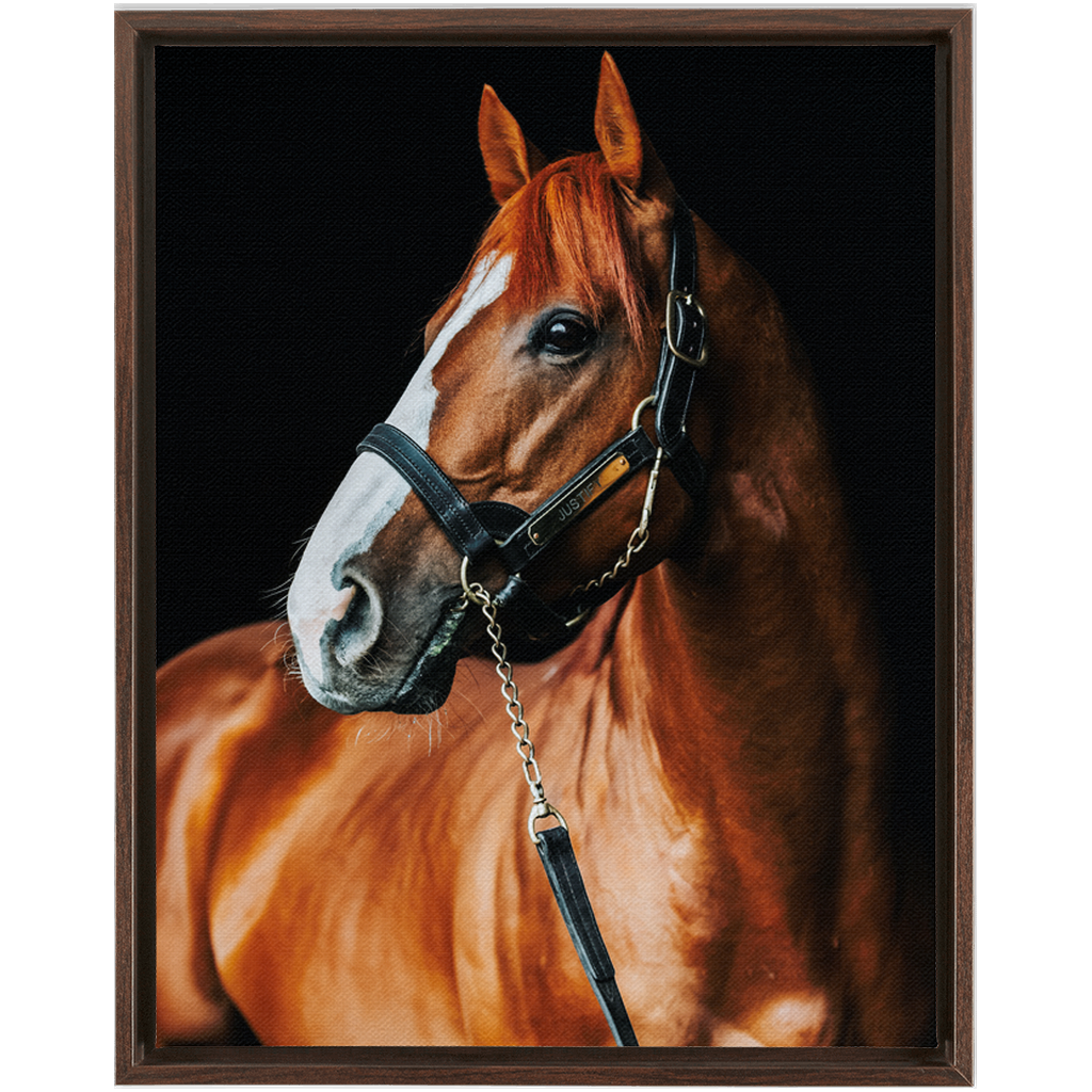 Justify Series 1, Framed Canvas