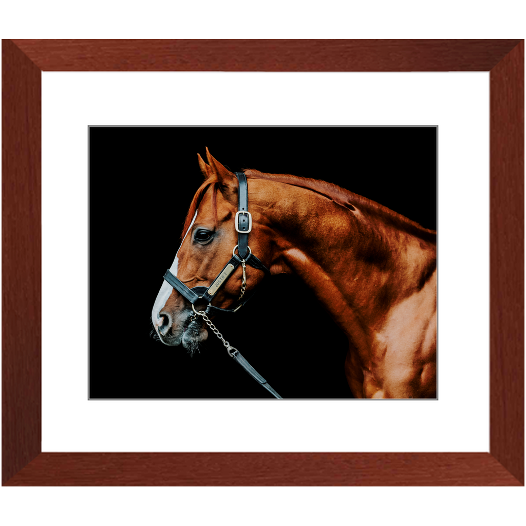Justify Series 3, Framed Print