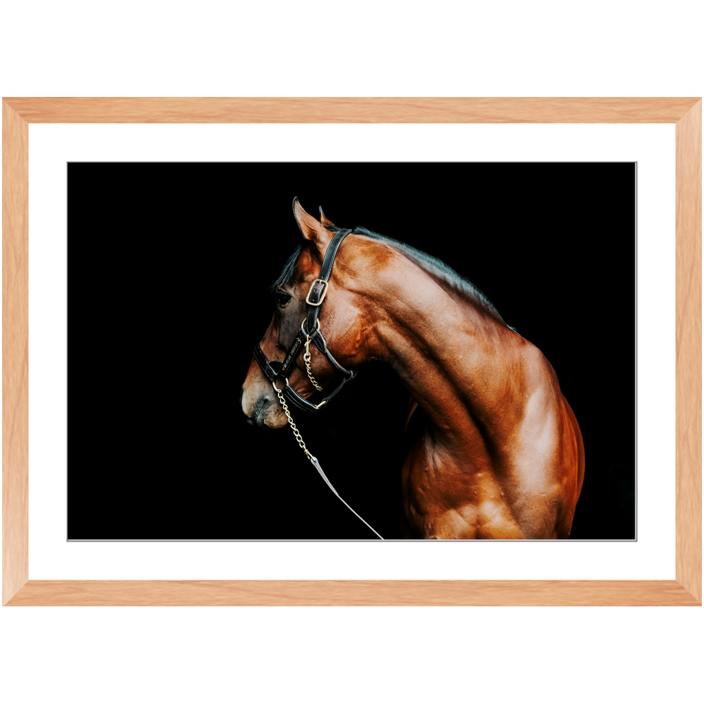 American Pharoah Series 5, Framed Print