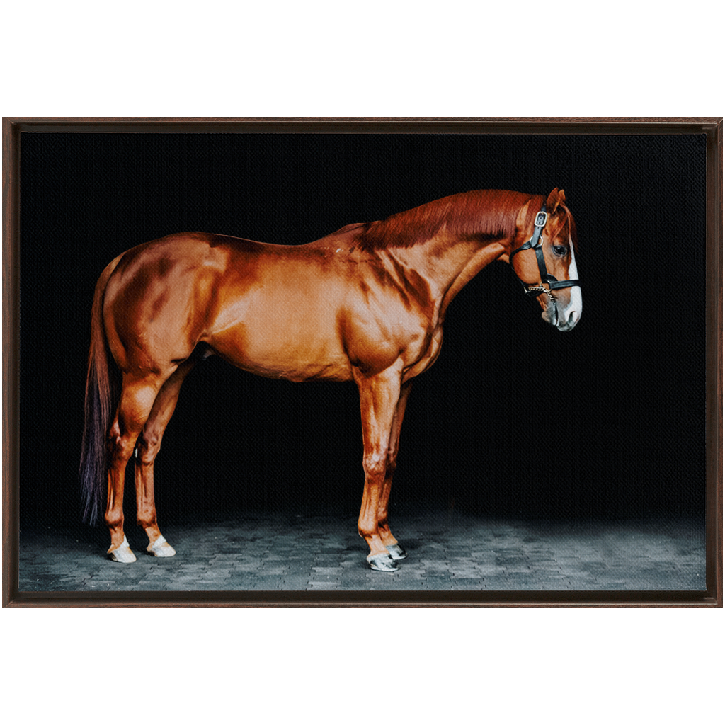 Justify Series 6, Framed Canvas