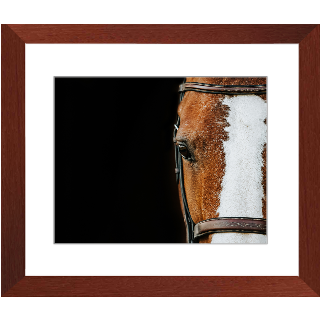 Huntsman Series 5, Framed Print