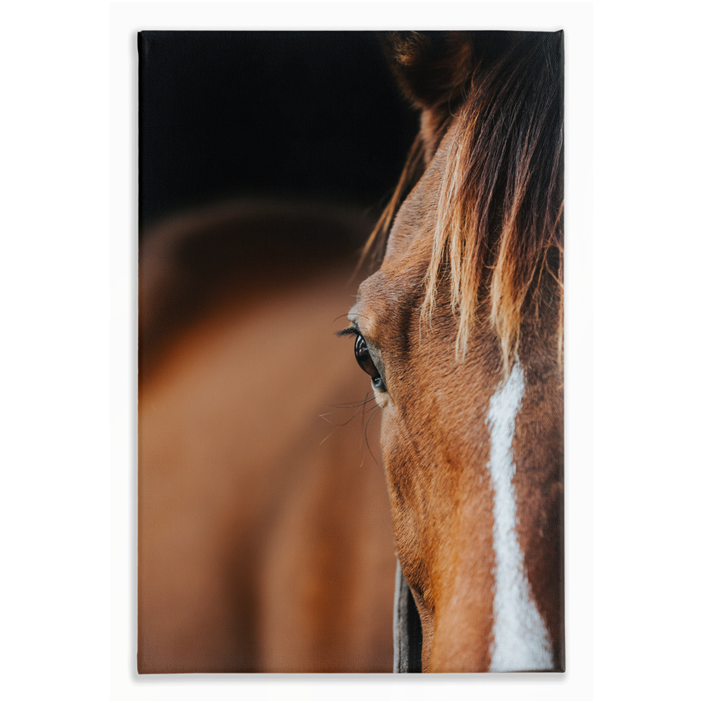 Majestic 1, Stretched Canvas