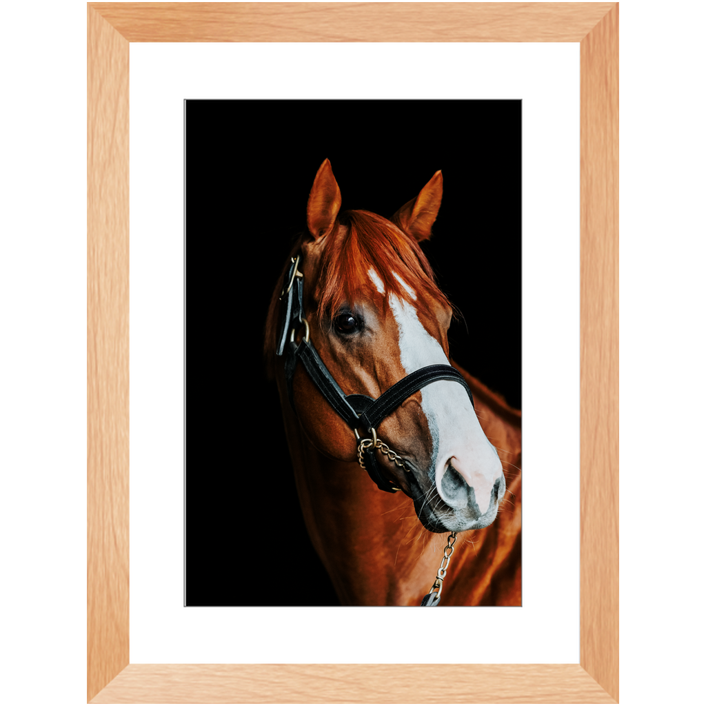 Justify Series 2, Framed Print